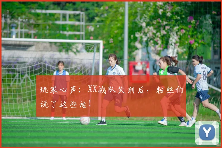 玩家心声：XX战队失利后，粉丝们说了这些话！